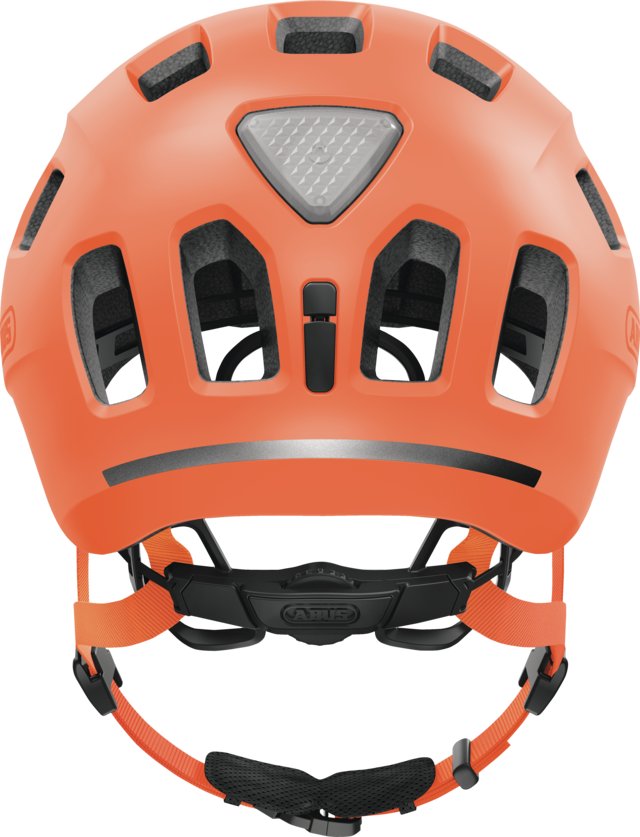 10049417-01