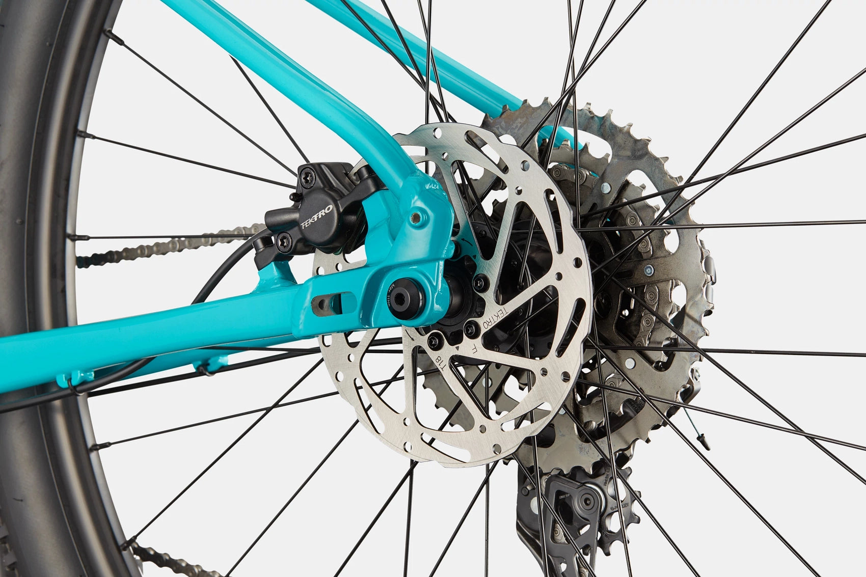 Trail 2 Cannondale 2025 Ion Blue #7