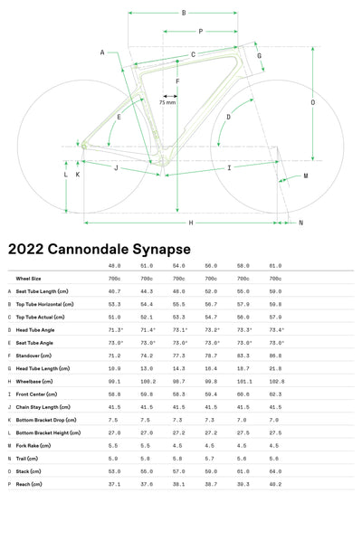 Synapse Carbon 2 RLE Cannondale 2024 Grey #8