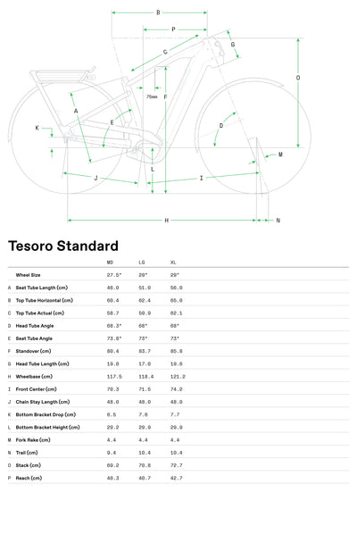 Tesoro Neo 2 Cannondale 2025 Storm Cloud #8