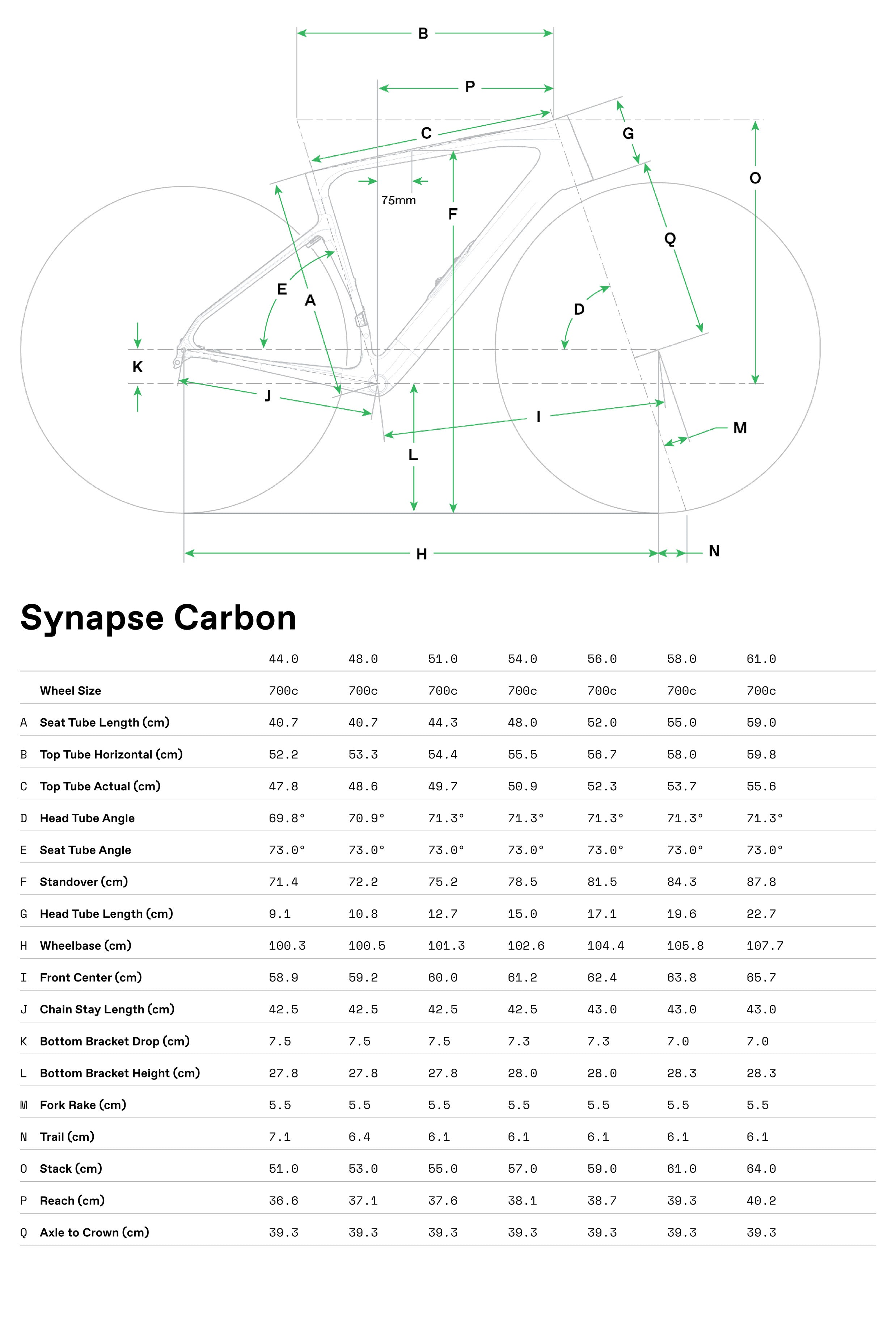 Synapse Carbon 5 Cannondale 2025 Phoenix Yellow #8